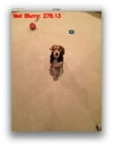 Figure 8: Basic blur detection with OpenCV and Python.